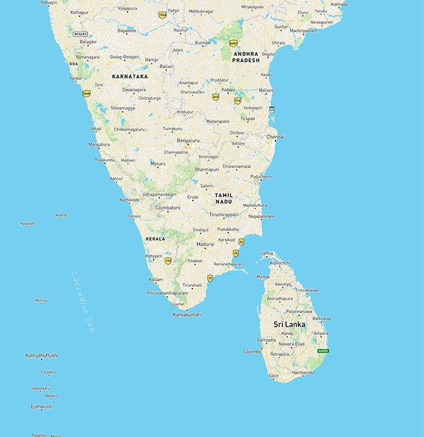 India Map with Branches